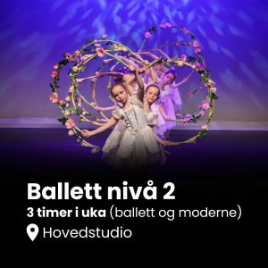 Nivå 2