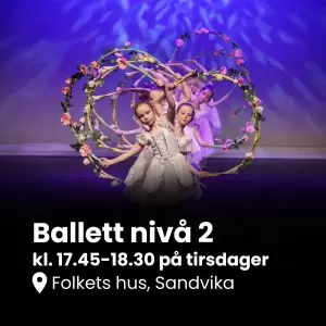 Nivå 2 Sandvika V25