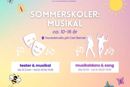 Sommerskoler hva sjer