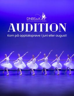 Dnbs instagram stående (8)