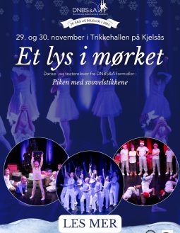 A3 h25 peer gynt plakat