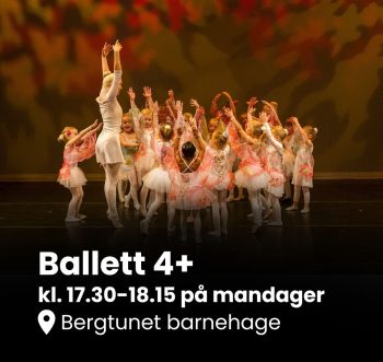 Ballett 4 Bergt
