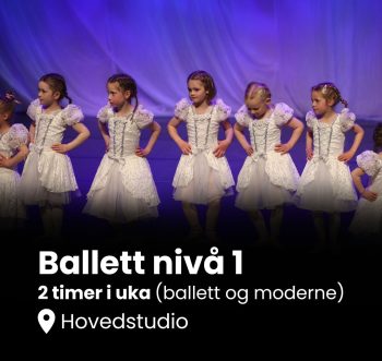 Nivå 1