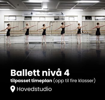 Nivå 4