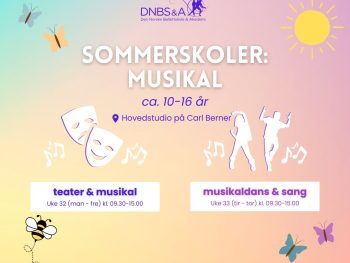 Sommerskoler hva sjer
